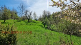 Продажба на имоти в с. Габрица, област Смолян - изображение 1 