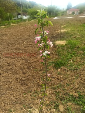 ������� ���������� ���� | Imot.bg � ����� ������ 4