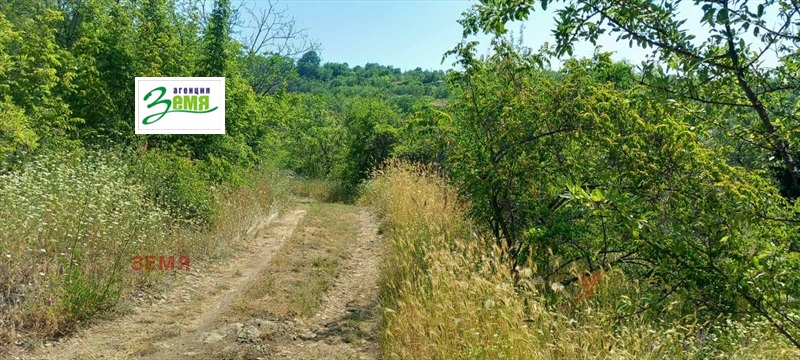 Na prodej  Spiknutí Stara Zagora , Železnik - iztok , 2003 m2 | 21710221 - obraz [4]