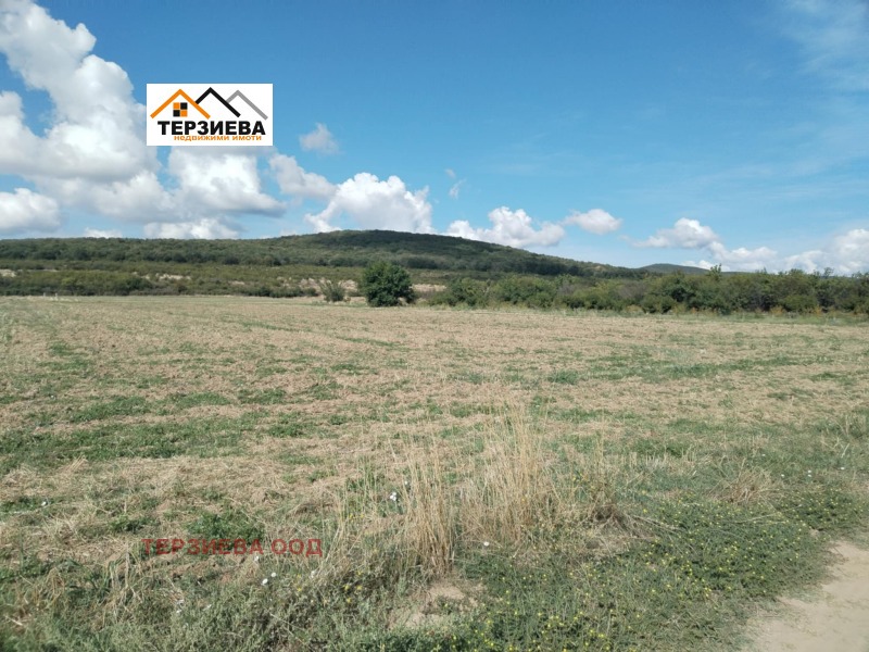 Продава  Парцел, област Стара Загора, с. Ракитница • 26 000 € • ID 26900151 — holmes.bg - [1] 