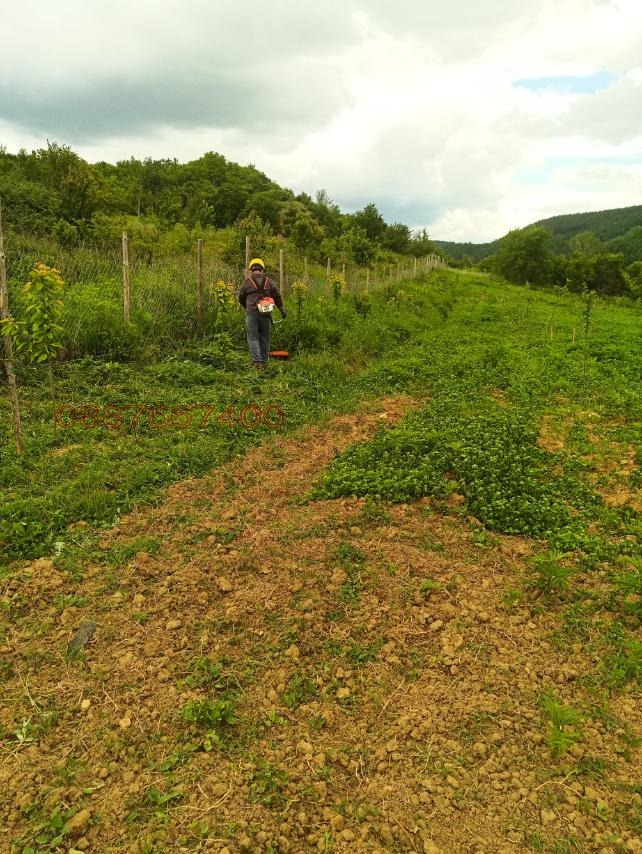 Продава ЗЕМЕДЕЛСКА ЗЕМЯ, с. Згурово, област Кюстендил, снимка 9 - Земеделска земя - 52793019