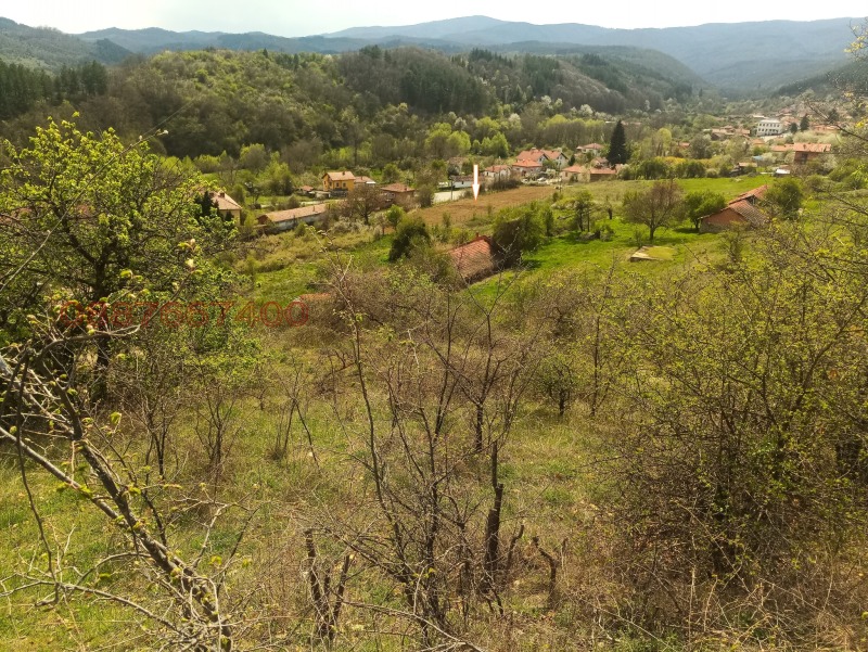 Продава ЗЕМЕДЕЛСКА ЗЕМЯ, с. Згурово, област Кюстендил, снимка 4 - Земеделска земя - 52793019