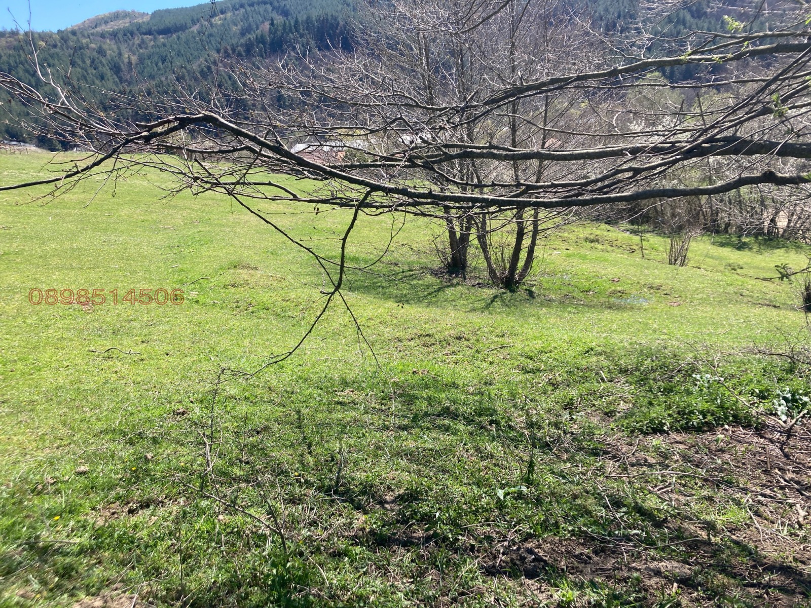 Продава ПАРЦЕЛ, с. Лъки, област Благоевград, снимка 7 - Парцели - 54734839
