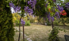 ������� ���� | Imot.bg � ����� ������ 7