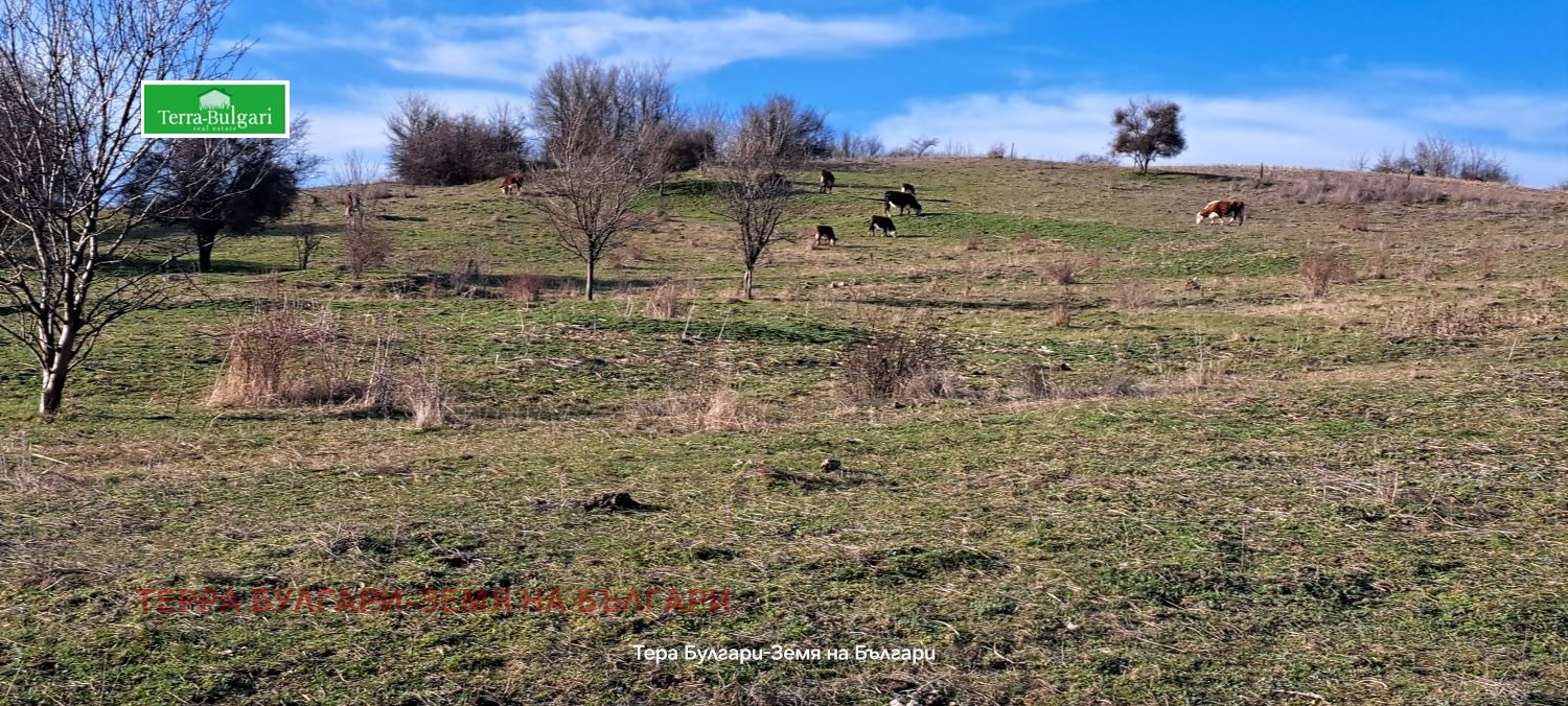 ������� ���������� ���� | Imot.bg � ����������� 5