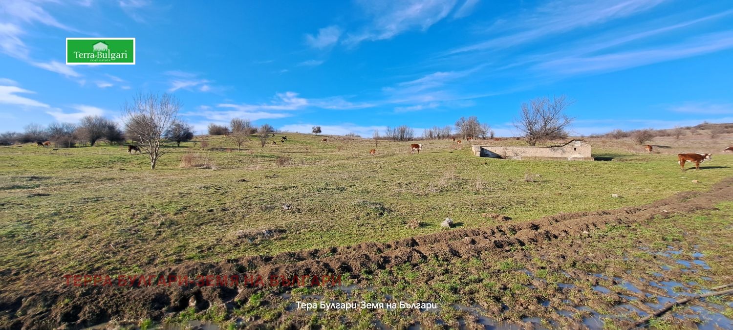 ������� ���������� ���� | Imot.bg � ����������� 6