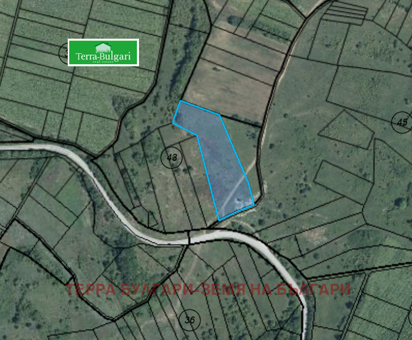 ������� ���������� ���� | Imot.bg � ����������� 7