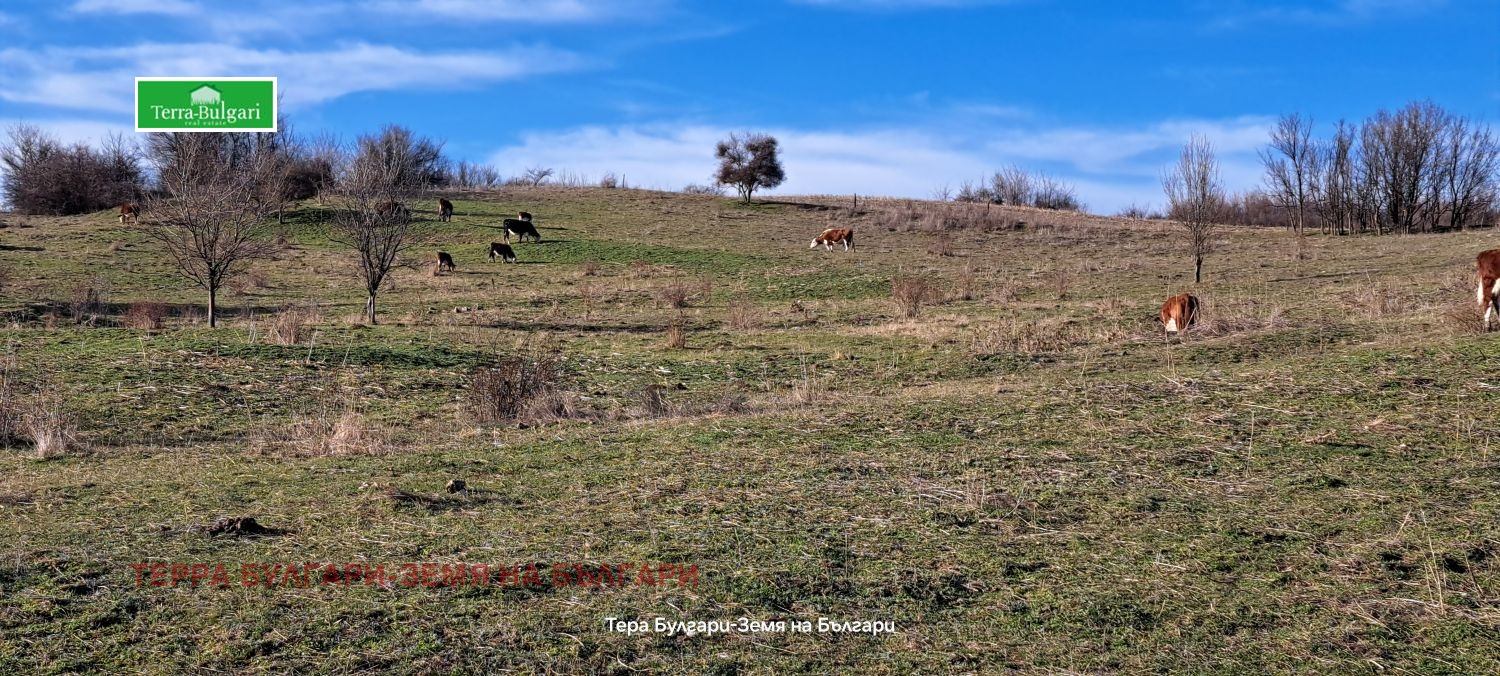 ������� ���������� ���� | Imot.bg � ����������� 4