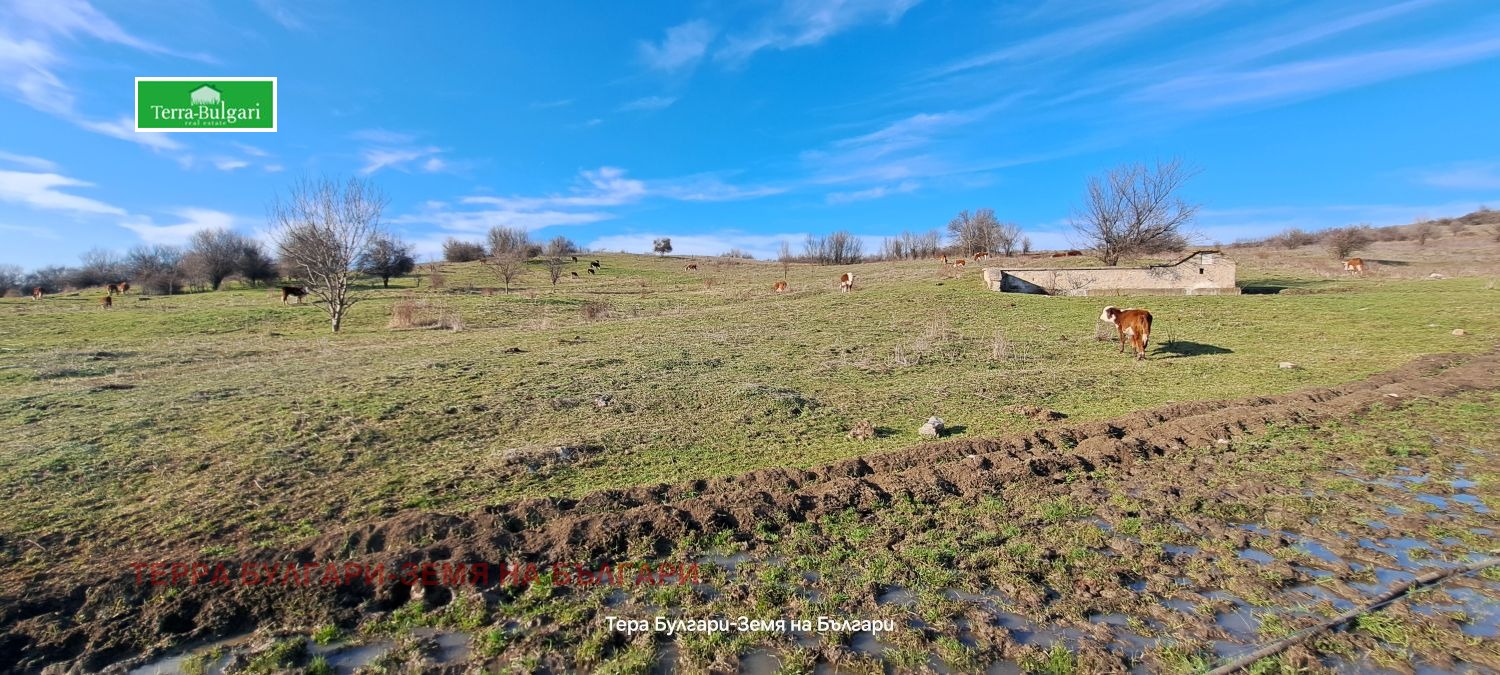 ������� ���������� ���� | Imot.bg � ����������� 2