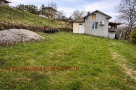 ������ ������� ����