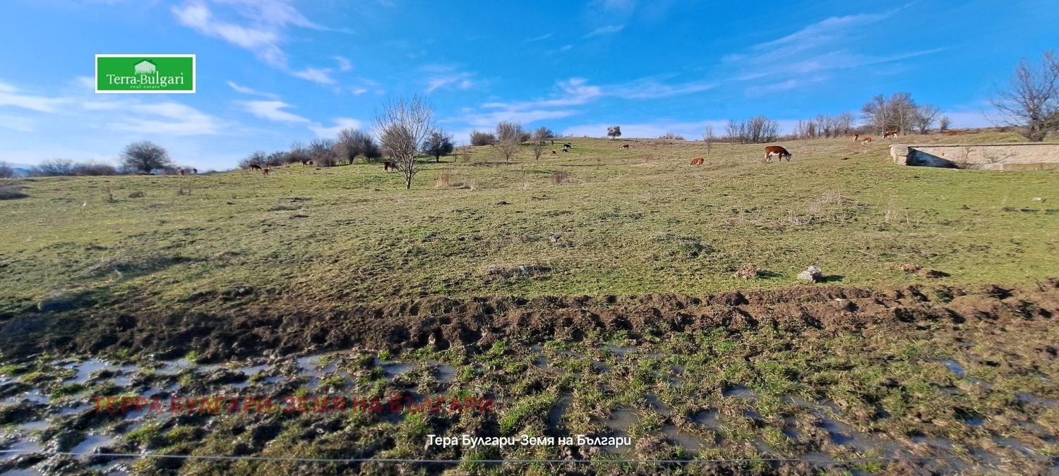 Продава ЗЕМЕДЕЛСКА ЗЕМЯ, с. Витановци, област Перник, снимка 7 - Земеделска земя - 53788668