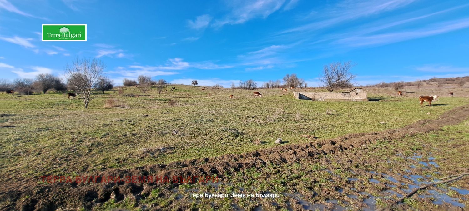 Продава ЗЕМЕДЕЛСКА ЗЕМЯ, с. Витановци, област Перник, снимка 2 - Земеделска земя - 53788668
