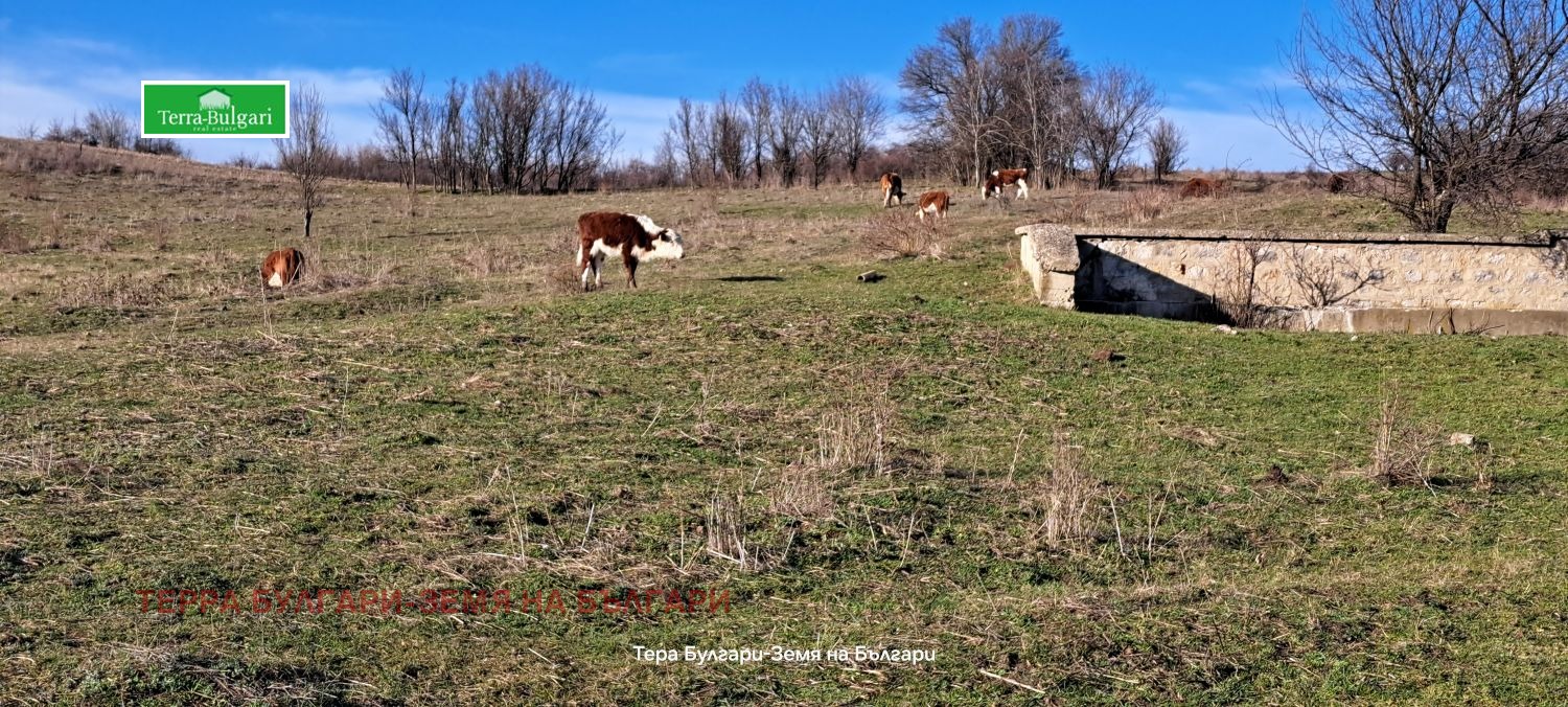 Продава ЗЕМЕДЕЛСКА ЗЕМЯ, с. Витановци, област Перник
