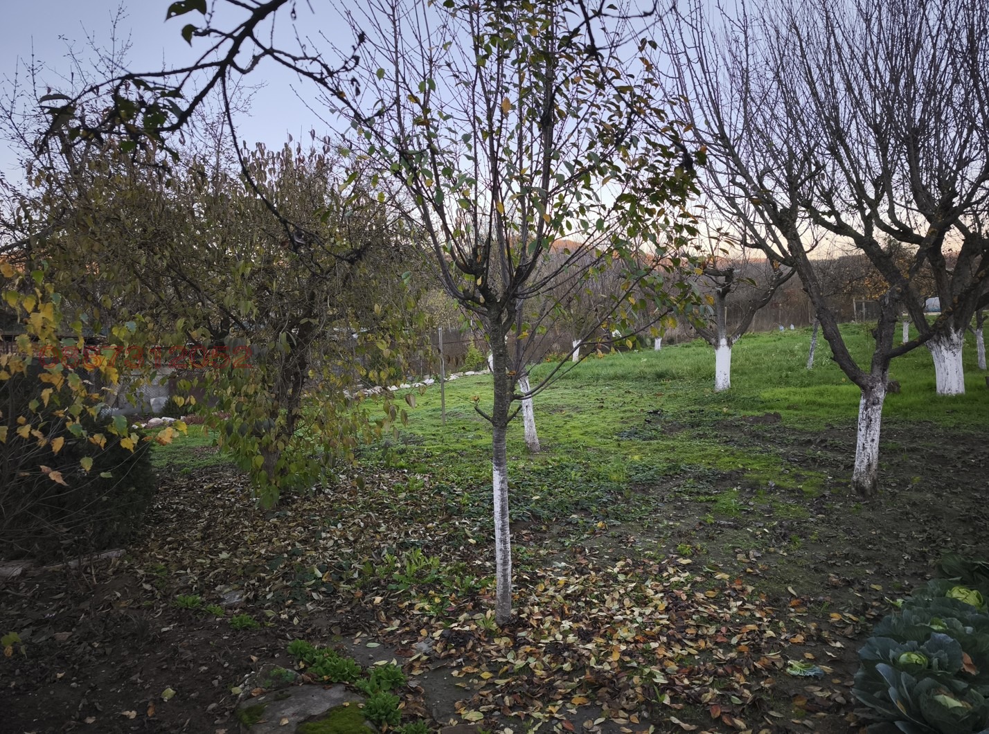 ������� ���� | Imot.bg � ����������� 7