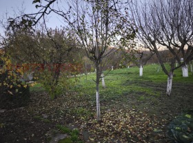 ������� ���� | Imot.bg � ����� ������ 7