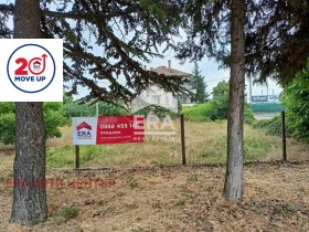 ����� ������� ������,���� ����� ������, ����� ������