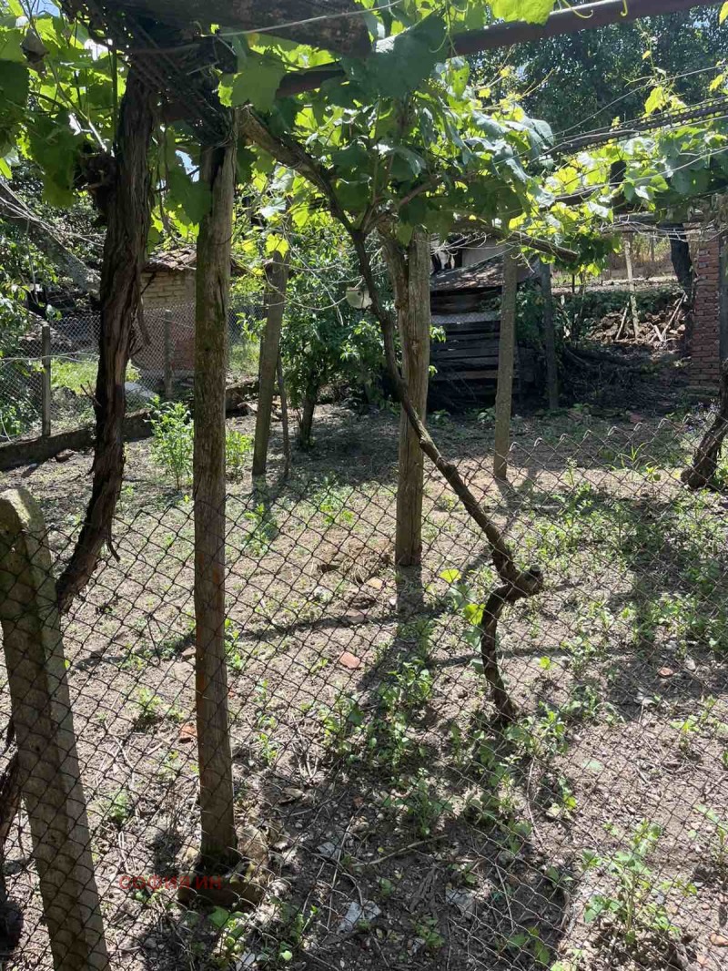 Продава  Къща област Кюстендил , с. Шатрово , 832 кв.м | 81993111 - изображение [6]