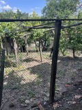 Продава КЪЩА, с. Шатрово, област Кюстендил, снимка 4