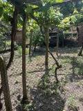 Продава КЪЩА, област Кюстендил, с. Шатрово • 23000 € / 44984.09 лв. • 32149883 6