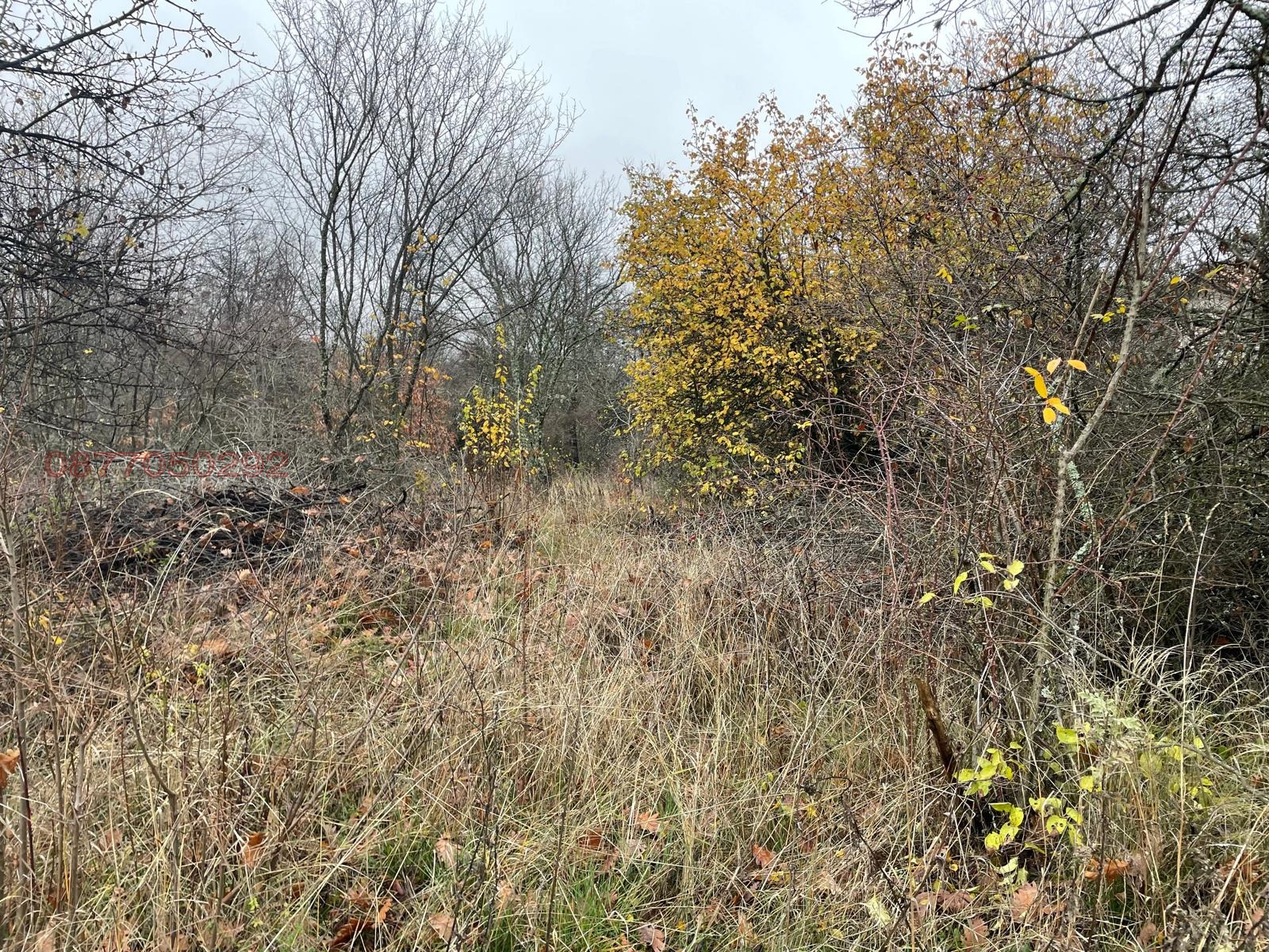 ������� ������ | Imot.bg � ����������� 5