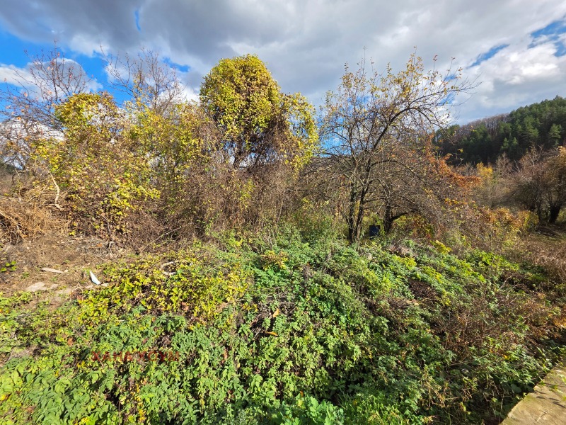 Продава ПАРЦЕЛ, с. Черни Осъм, област Ловеч, снимка 9 - Парцели - 52524074