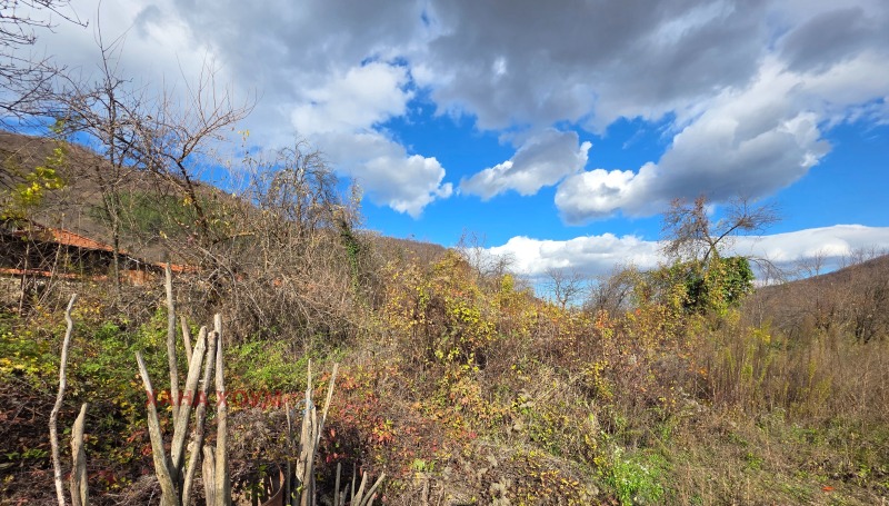 Продава ПАРЦЕЛ, с. Черни Осъм, област Ловеч, снимка 5 - Парцели - 52524074