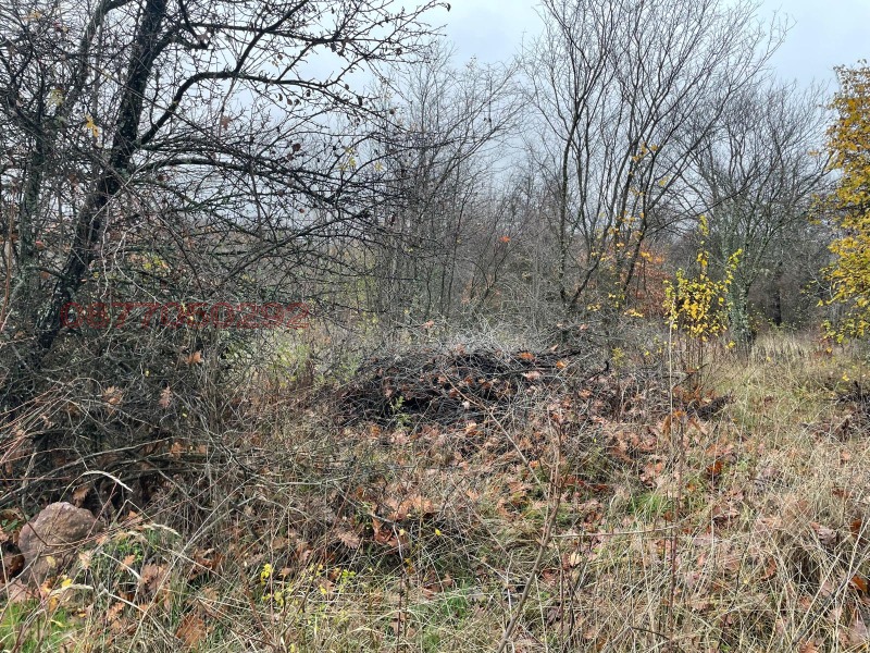 Продава ПАРЦЕЛ, с. Вакарел, област София област, снимка 6 - Парцели - 53379678