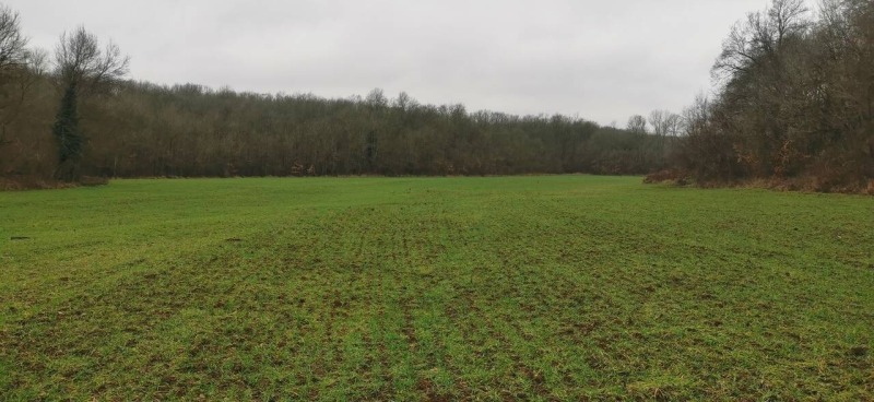 Na prodej  Spiknutí oblast Burgas , Primorsko , 11000 m2 | 20624625