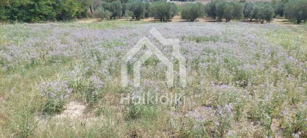 ������� ������ | Imot.bg � ����������� 11