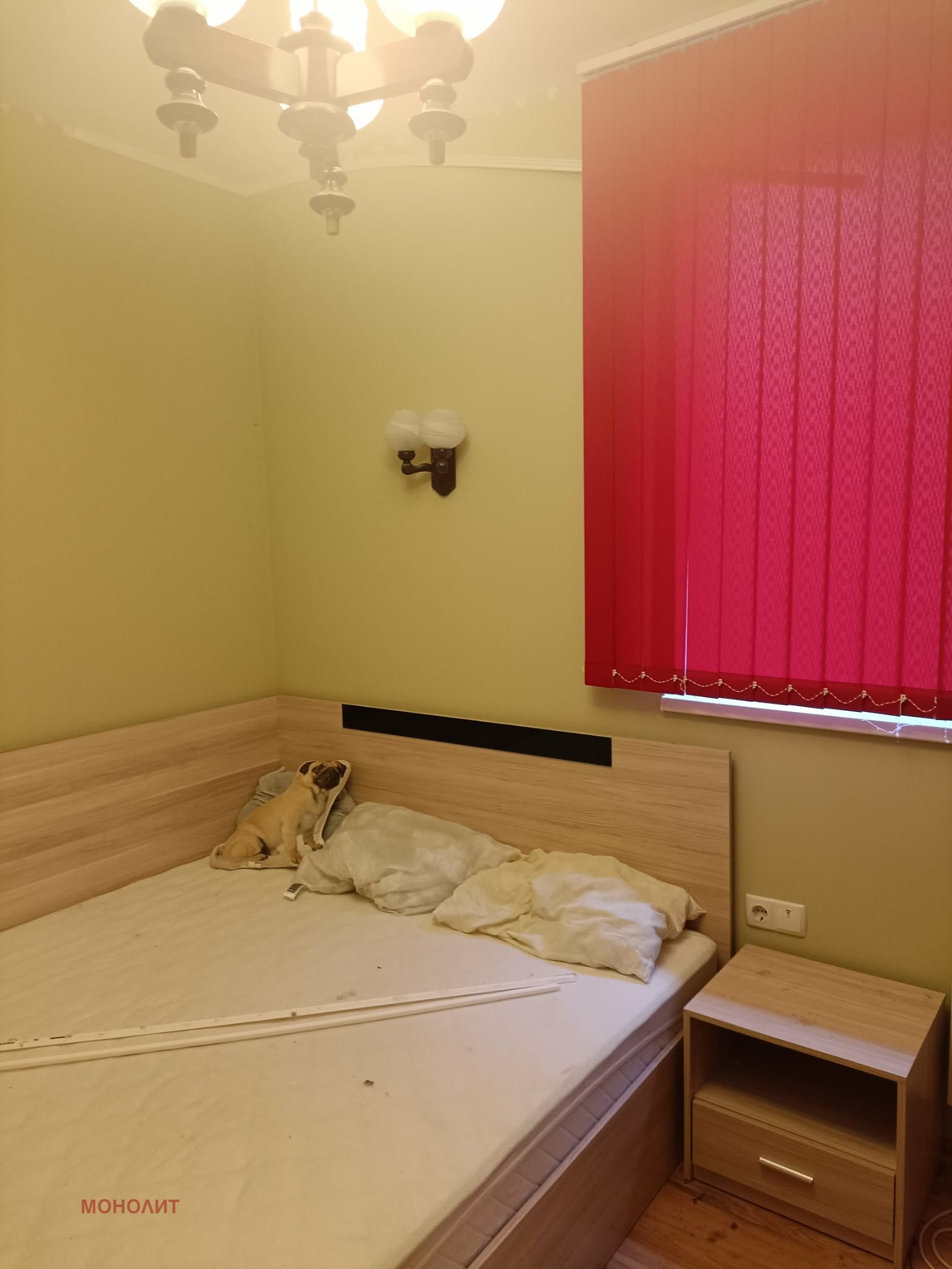 ������� ���� | Imot.bg � ����������� 8