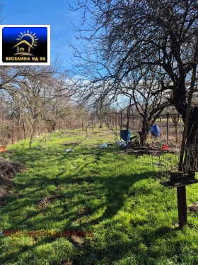 ����� ������� ������,���� ������, �-� ��������