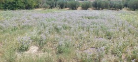 ������� ������ | Imot.bg � ����� ������ 4