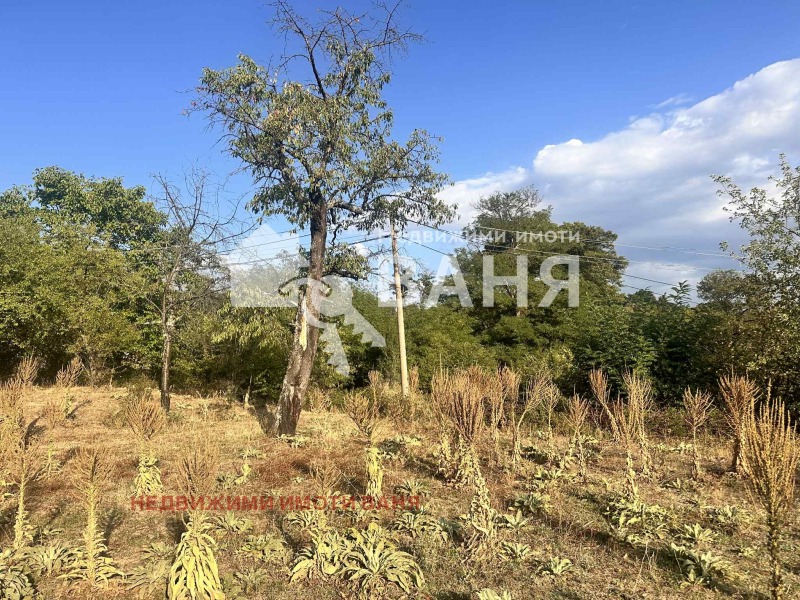 Продава ПАРЦЕЛ, област Пловдив, гр. Карлово • 30000 лв. • 94428811 — Holmes.bg