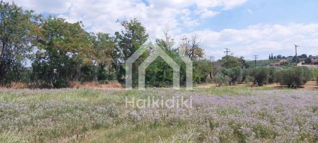 Продава ПАРЦЕЛ, Извън страната, област Извън страната, снимка 13 - Парцели - 54846453