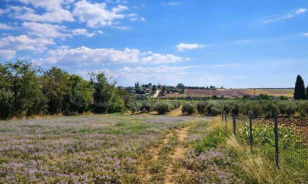 Продава ПАРЦЕЛ, Извън страната, област Извън страната, снимка 6 - Парцели - 54846453