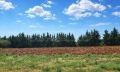 Продава ПАРЦЕЛ, Извън страната, област Извън страната, снимка 9