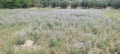 Продава ПАРЦЕЛ, Извън страната, област Извън страната, снимка 4