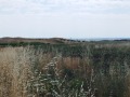 Продава ПАРЦЕЛ, гр. Каблешково, област Бургас, снимка 6