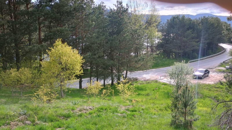 Продава ПАРЦЕЛ в област Пазарджик, гр. Сърница - 828 кв.м / 20 700 € » 40 485.68 лв., МАХЕШВАРИ ХОУМС