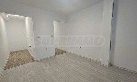 Studio Mladost 2, Warna