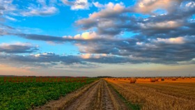 Land Bjala reka, regio Plovdiv 1