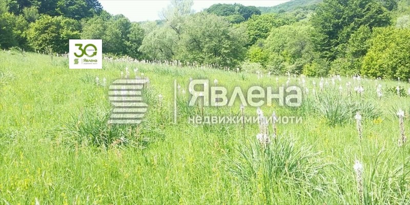 Продава ПАРЦЕЛ, с. Цонево, област Варна, снимка 1 - Парцели - 48951837