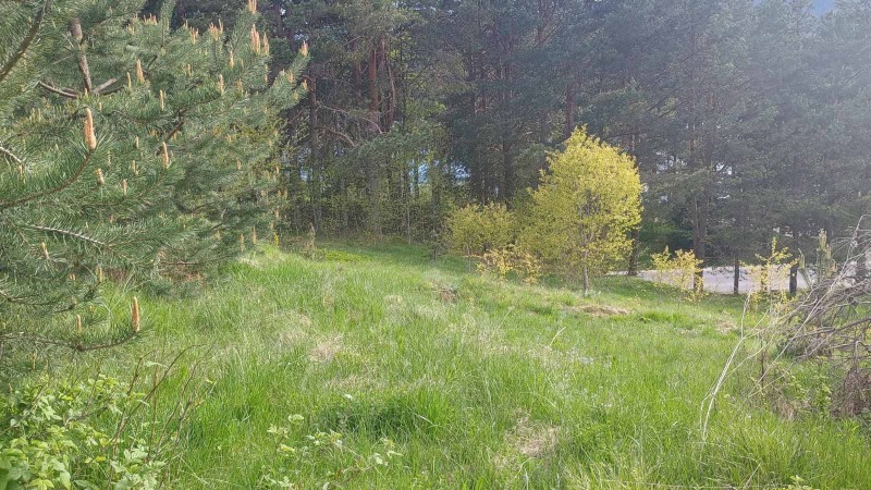 En venta  Trama región Pazardzhik , Sarnitsa , 828 metros cuadrados | 15967468 - imagen [2]