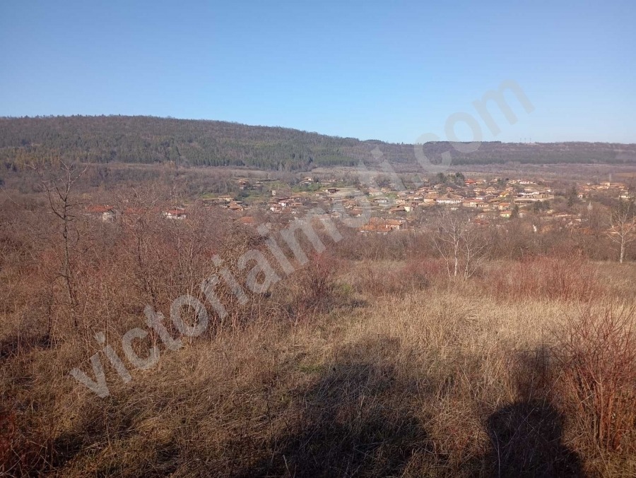 Продава ПАРЦЕЛ, с. Пчелище, област Велико Търново, снимка 2 - Парцели - 54966399