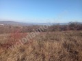 Продава ПАРЦЕЛ, с. Пчелище, област Велико Търново, снимка 1