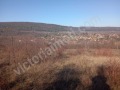Продава ПАРЦЕЛ, с. Пчелище, област Велико Търново, снимка 2