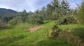 Продава ПАРЦЕЛ, област Пазарджик, гр. Сърница • 20700 € • 28237674 — Holmes.bg