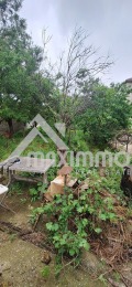 Продава  Парцел град Варна , Изгрев , 454 кв.м | 16443135 - изображение [7]