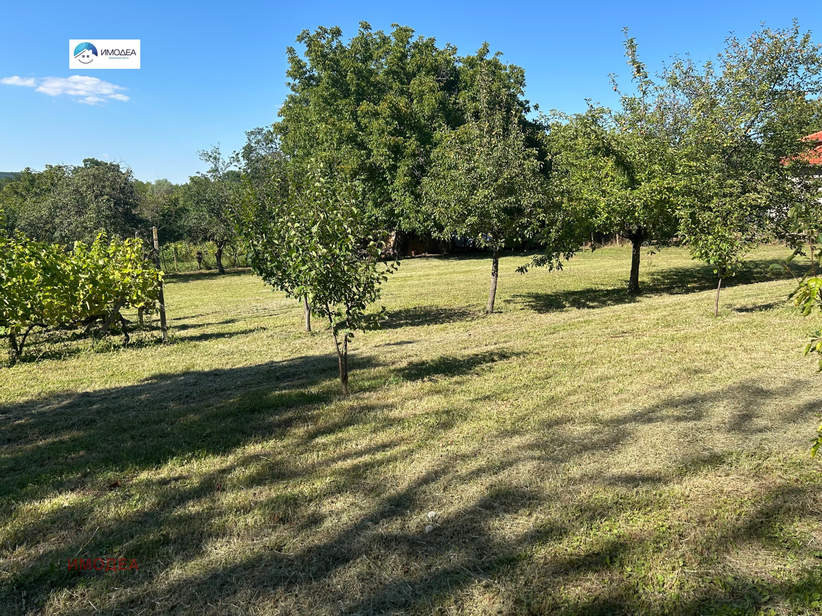 ������� ������ | Imot.bg � ����������� 4