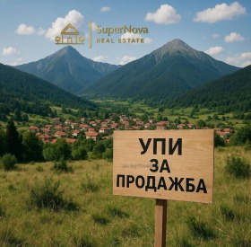 Плот Белаштица, регион Пловдив